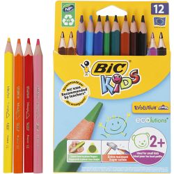 BIC Evolution Triangular Colouring Pencils