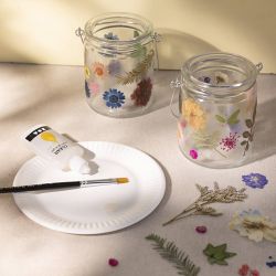 Pressed Flowers and Leaves