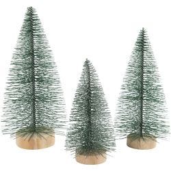 Christmas Spruce Trees