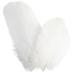 Goose feathers
