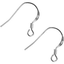 Earring Hooks