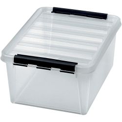 Storage box with lid