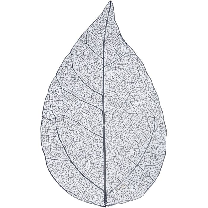 Skeleton Leaves, L: 6-8 cm, blue, 20 pc/ 1 pack