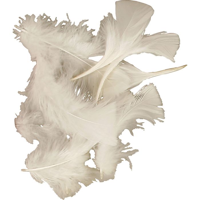 Down, size 7-8 cm, ca. 3750 pc, white, 10x50 g/ 1 pack