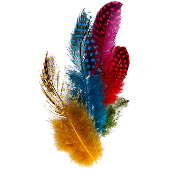 Guinea fowl feathers, ca. 100 pc, assorted colours, 3 g/ 1 pack