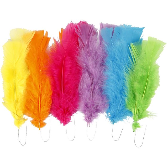 Feathers, size 11-17 cm, assorted colours, 18 bundle/ 1 pack