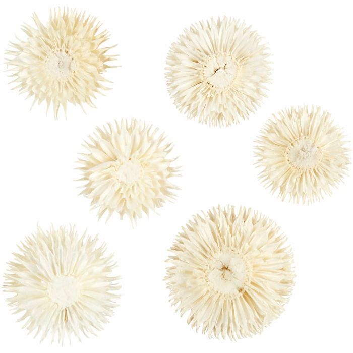 Dried Flower Heads, dia. 3-5 cm, 6 pc/ 1 pack