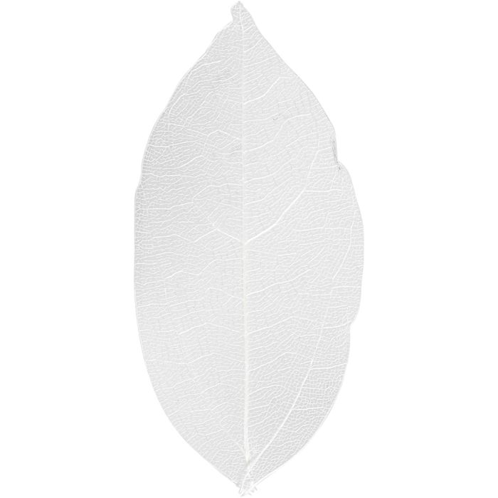 Skeleton Leaves, L: 6-8 cm, white, 20 pc/ 1 pack