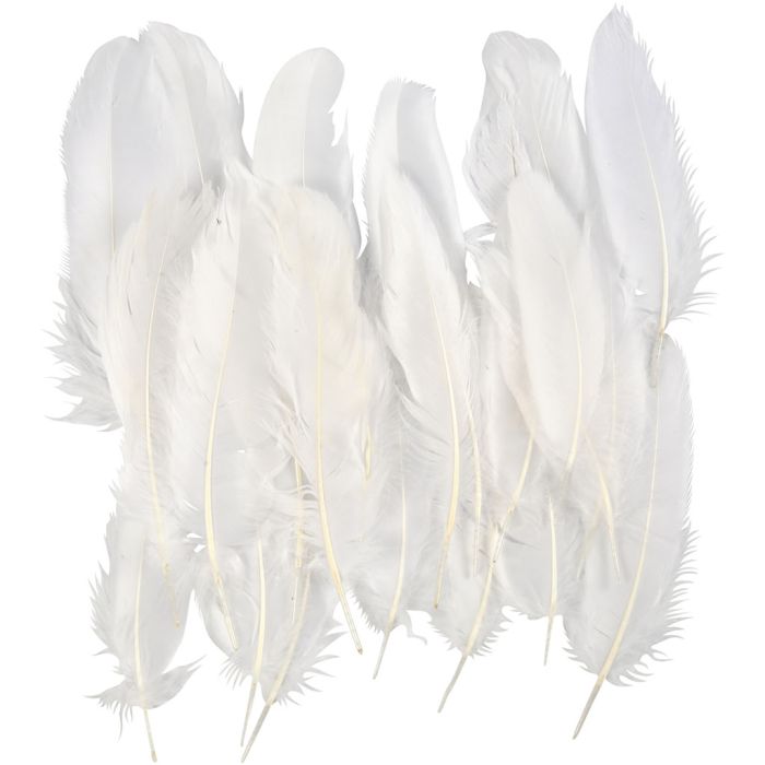 Feathers, size 10-18, white, 70 pc/ 1 bag