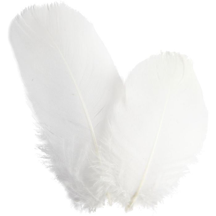 Goose feathers, round, L: 5-8 cm, ca. 70 pc, white, 3 g/ 1 pack