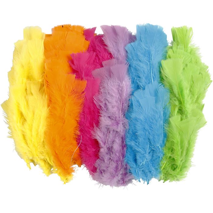 Feathers, L: 11-17 cm, assorted colours, 144 bundle/ 1 pack
