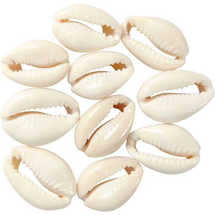 Shell, L: 20 mm, natural, 12 pc/ 1 pack