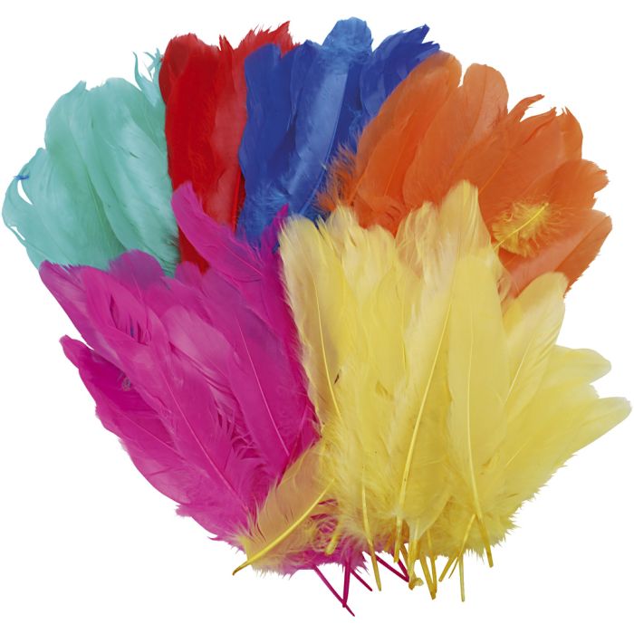 Feathers, L: 8-14 cm, assorted colours, 120 pc/ 1 bag
