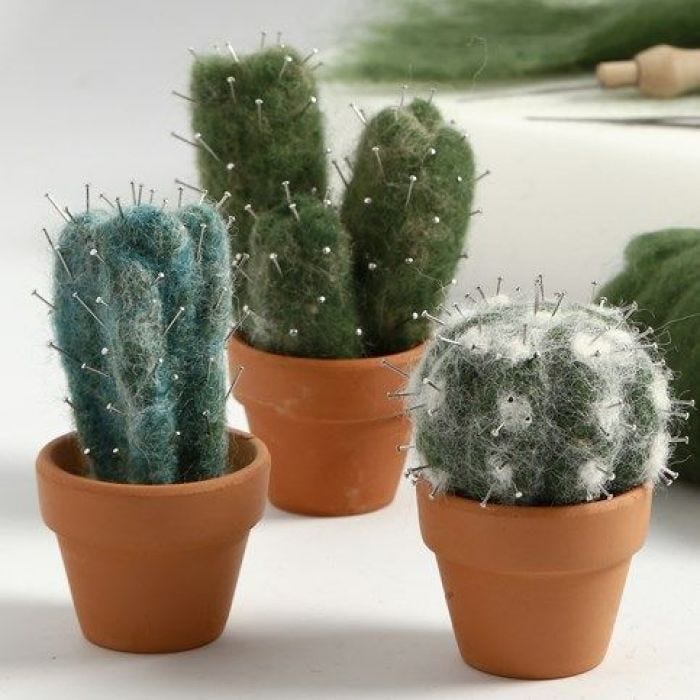 Needle felted Cacti made from carded Wool with Pins for Thorns