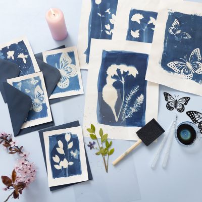 Cyanotype print on paper