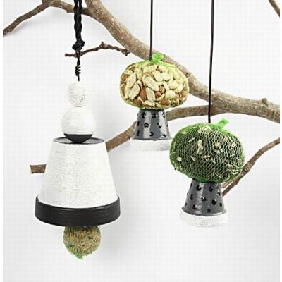 For the birds in cold weather