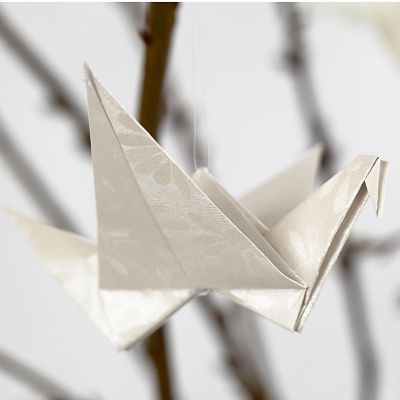 A Bird folded from Paper