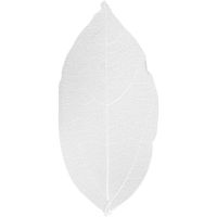 Skeleton leaves, L: 6-8 cm, white, 20 pc/ 1 pack