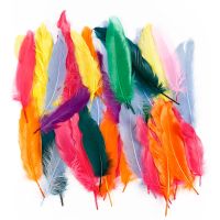 Feathers, L: 12-15 cm, assorted colours, 350 pc/ 1 pack