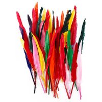 Feathers, L: 29-31 cm, assorted colours, 100 pc/ 1 pack