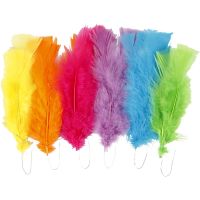 Feathers, L: 11-17 cm, assorted colours, 18 bundle/ 1 pack