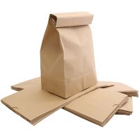 Paper Bag, size 15x25x43 cm, brown, 50 pc/ 1 pack