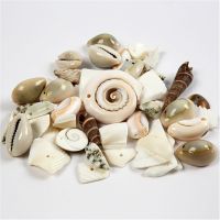 Beach Shells, size 9-40 mm, hole size 1-1,5 mm, 120 g/ 1 pack