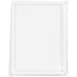 Paint Tray