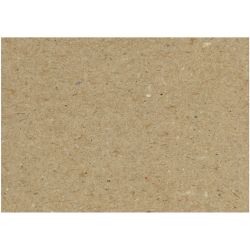 Cardboard