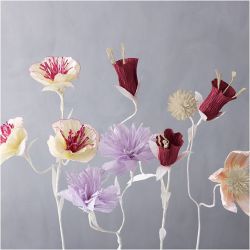 Crepe Paper
