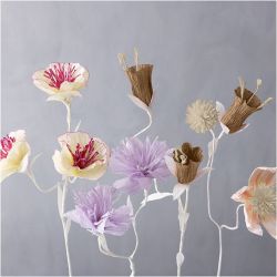 Crepe Paper