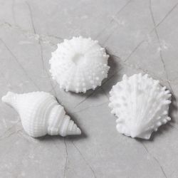 Silicone Mould