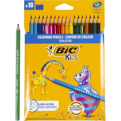 BIC Evolution Colour Pencils
