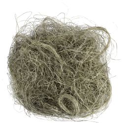Sisal