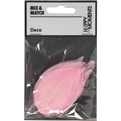Skeleton Leaves