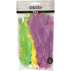 Feathers