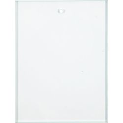Glass Plate