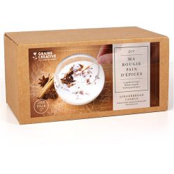 Scented candle kit - Gingerbread