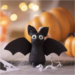 Mini Craft Kit Modelling