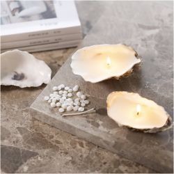 Mini Craft Kit Candle Making, Soy candles in oyster shells, off white, 1 pack